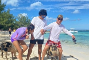 Excursión a las 3 islas de Rose Island,🚤Snorkel,🐠Tortugas,🐢 Cerdos 🐖