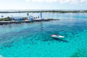 Rose island 4hr tour swimming pigs, snorkelling and turtles