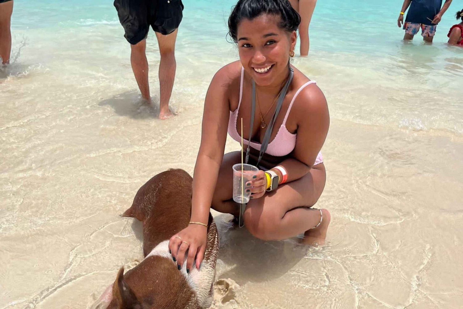 Nassau: Swimming Pigs, Snorkeling w/Turtles Lunch Beach Club