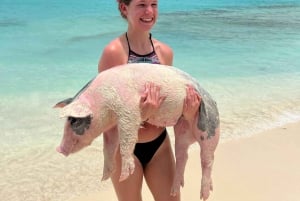 Nassau: Nuotare con i maiali, fare snorkeling con le tartarughe Pranzo al Beach Club