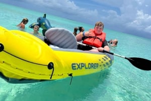 Nassau: Svømmende grise, snorkling med skildpadder Frokost Beach Club