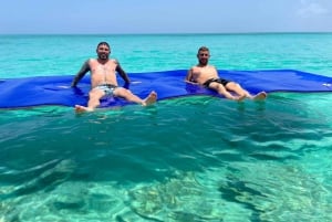 Nassau: Lounas Beach Club Nassaussa: Sikojen uiminen, snorklaaminen kilpikonnien kanssa