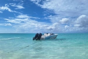 Nassau : Cochons à la nage, plongée en apnée avec tortues Déjeuner Beach Club