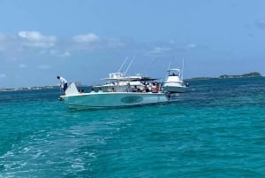 Isla Rosa: Playa del Cerdo, Esnórquel, Tortugas Marinas, Playa