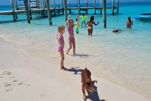 Rose Island: snorkeling, maiali nuotatori e rum punch illimitato