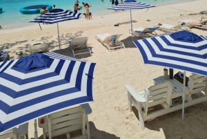 Rose Island: Schnorcheln, schwimmende Schweine & unbegrenzter Rum Punch