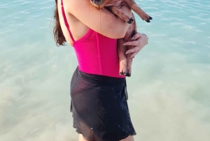 Rose Island: Schnorcheln, schwimmende Schweine & unbegrenzter Rum Punch