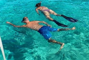 ナッソーブタの水泳、シュノーケル、スピードボートでのランチ