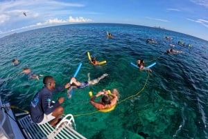 Rozeneiland: Zwemmen met varkens, snorkelen en lunchen