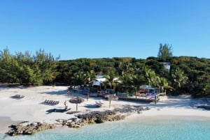 Rose Island: Svømning med grise, snorkling og frokost