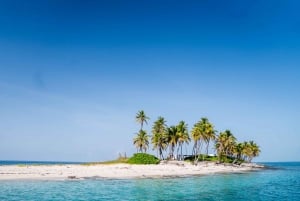 Ilha Rose: Nadar com porcos, mergulhar com snorkel e almoçar