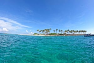 Ilha Rose: Nadar com porcos, mergulhar com snorkel e almoçar