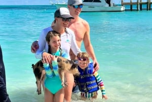 Isla Rosa: Nadar con cerdos, snorkel y almuerzo