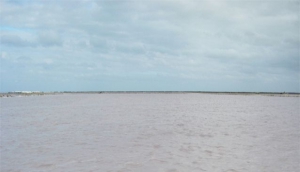 Salt Pond
