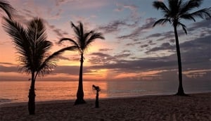 Sammy T's Beach Resort
