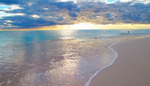 Shannas Cove Resort