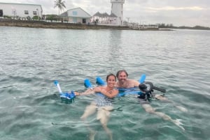 Snorkeling and Beach Tour with Sea Turtles