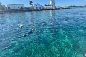 Snorkeling and Beach Tour with Sea Turtles