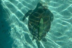 Snorkeling and Beach Tour with Sea Turtles