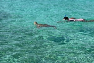 Snorkeling and Beach Tour with Sea Turtles