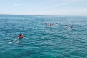 Speerfischen auf den Bahamas