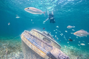 Nassau: SunCay Private Oceanview Villa with Lunch and Ferry