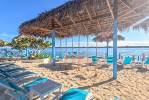 Nassau: dagtrip naar Sun Cay, snorkelen, ontmoeting met leguaan en lunch