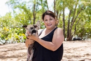 Nada con cerdos famosos en la Isla Rosa