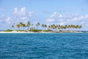 Nager avec des cochons célèbres à Rose Island