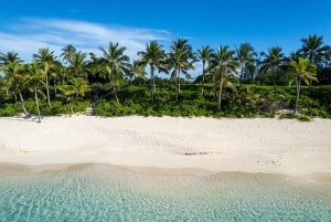 Ui kuuluisien sikojen kanssa Rose Islandilla