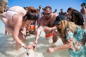 Nager avec des cochons célèbres à Rose Island