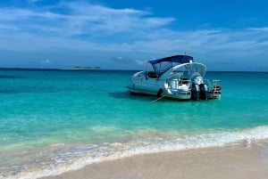 Zwemmende varkens & snorkelavontuur op boot met glazen bodem