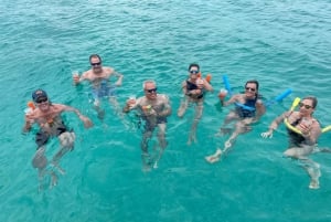 Nuotare con i maiali e le tartarughe Escursione finale in barca 3 isole