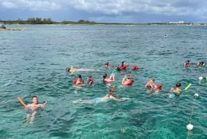 Svømmende grise og skildpadder Ultimativ udflugt med båd 3 øer