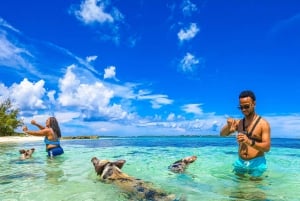 Fra Nassau: Rose Island Swimming Pigs Vandtaxi m/drinks