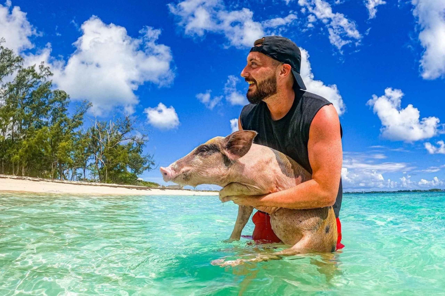Nassau: Swimming Pigs Speedboat Vattentaxi med drycker