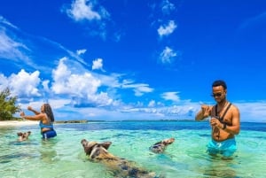 Nassau: Swimming Pigs Speedboat Vattentaxi med drycker