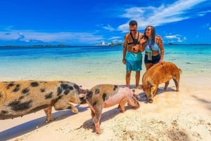 Nassau: Svømmende griser Hurtigbåt Vanntaxi med drinker