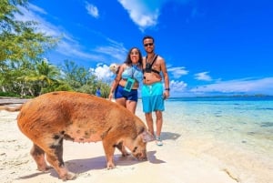 Nassau: Cerdos Nadadores Taxi acuático con bebidas