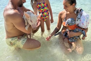 Swimming with the pigs, turtles and reef snorkeling!!!