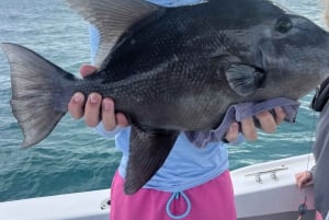 Swimming with the pigs, turtles and reef snorkeling!!!