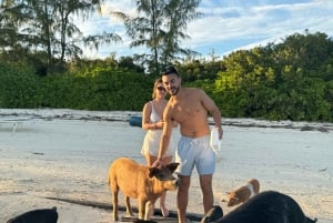 Swimming with the pigs, turtles and reef snorkeling!!!