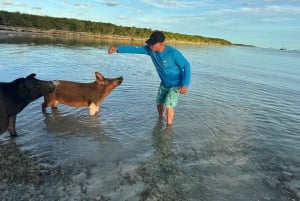 Swimming with the pigs, turtles and reef snorkeling!!!
