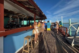 Swimming with the pigs, turtles and reef snorkeling!!!
