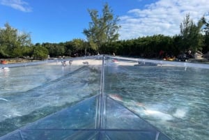 The Clear Boat Experience Bahamas drinks and snacks included