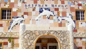 The Dolphin House