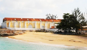 The Salt House
