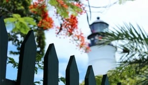 The Tower