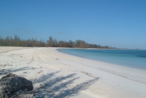 The West End: Guided Half-Day Tour in the Bahamas