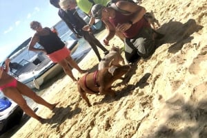 Ultimate Nassau Adventure: Pigs, Jetskis & Snorkeling